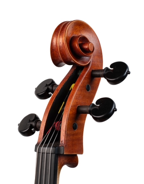 Handmade Cello - Scroll