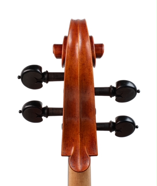 Handmade Cello - Scroll