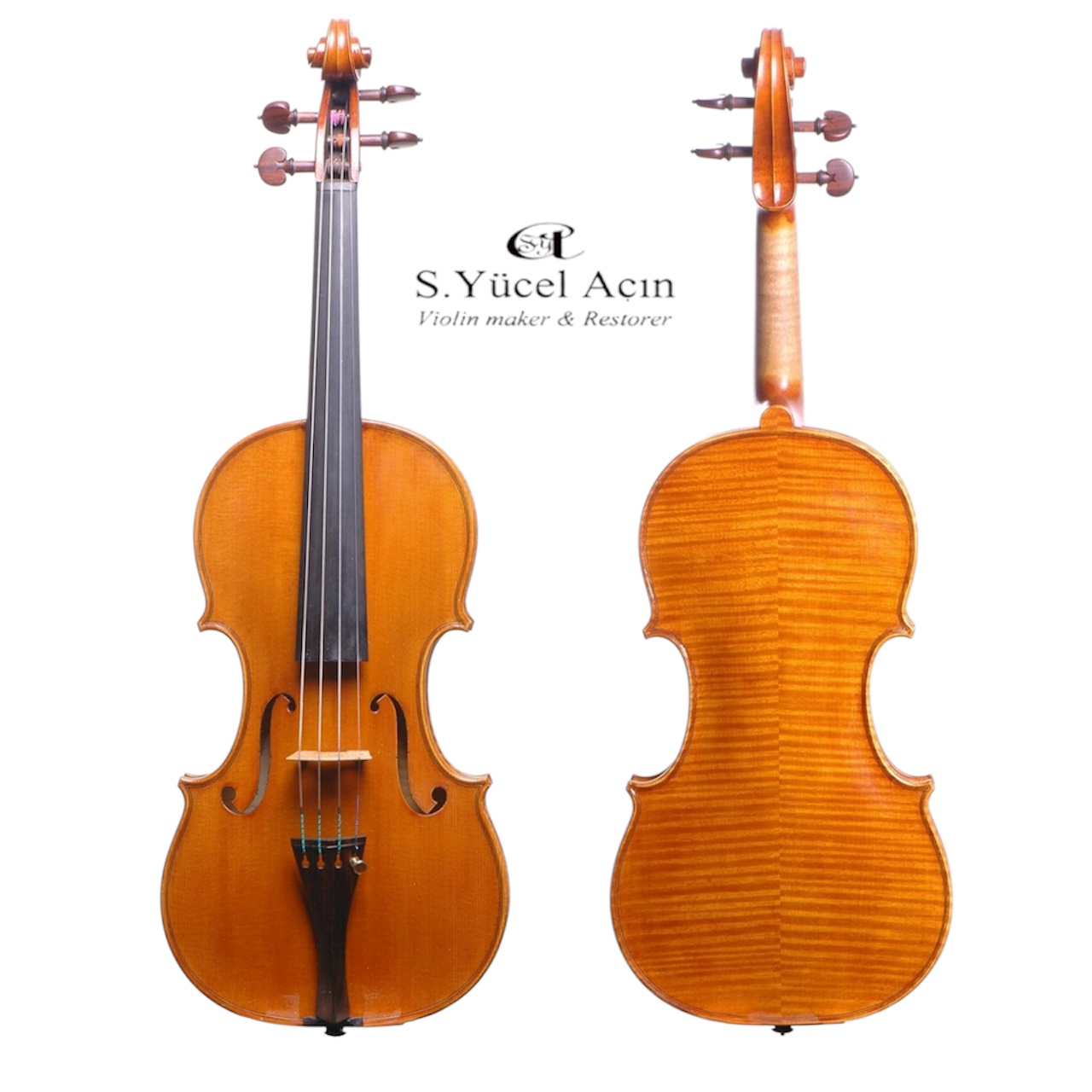 Handmade Violin - Front and Back