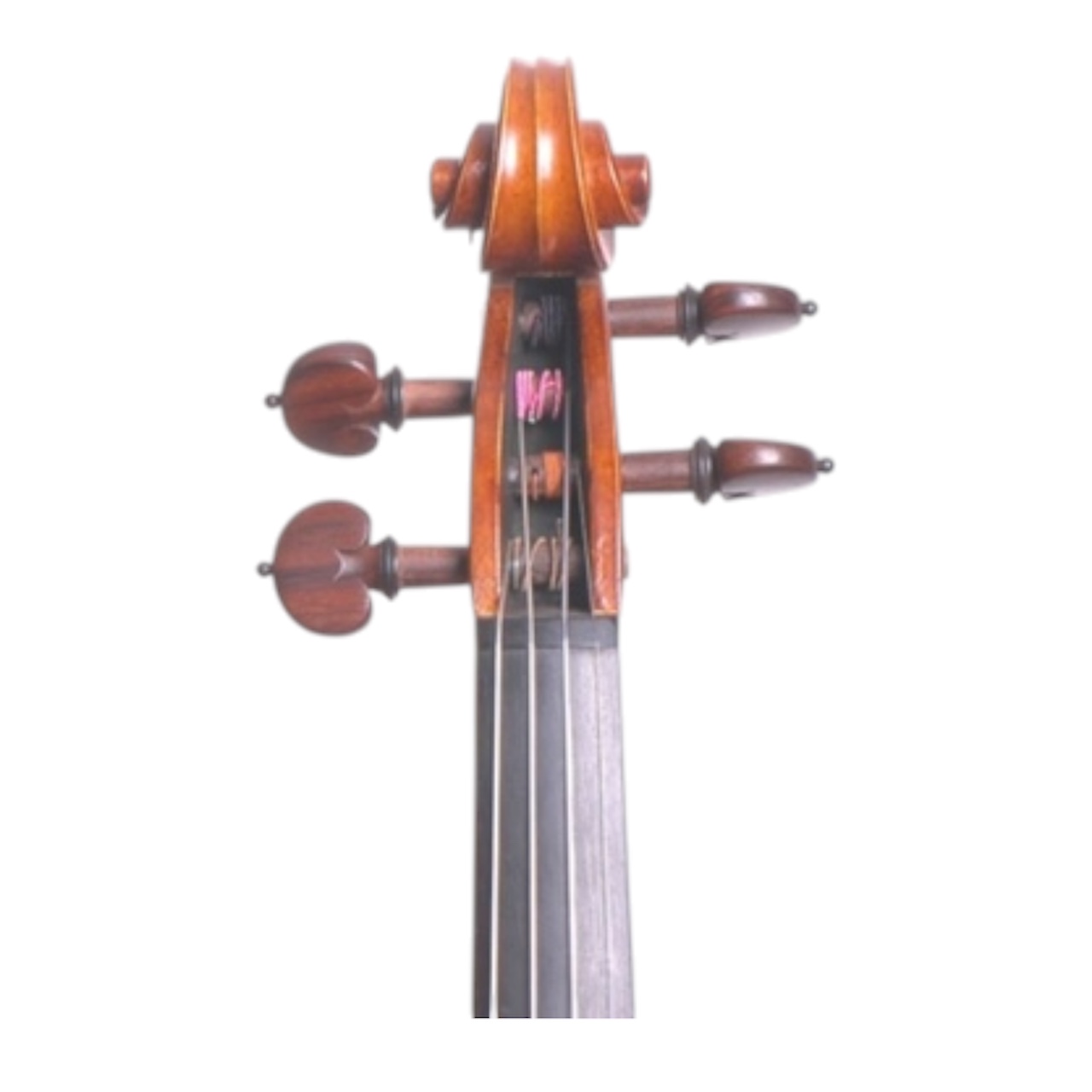 Handmade Violin - Scroll