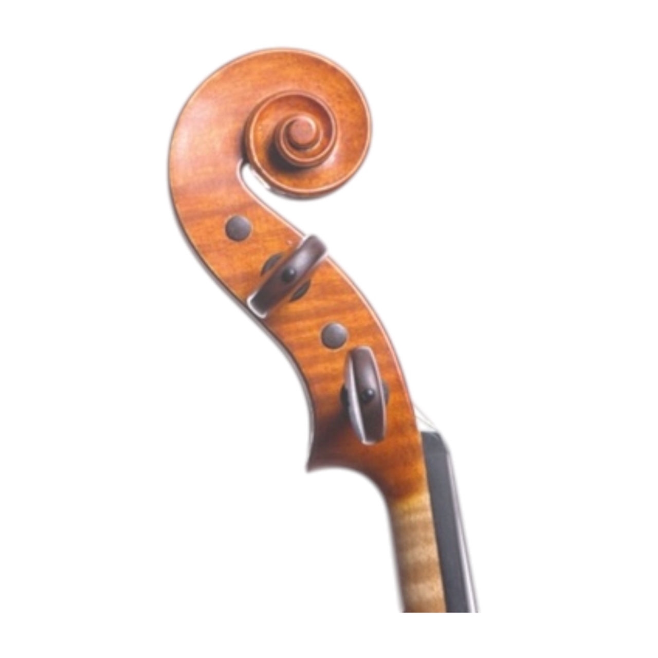 Handmade Violin - Scroll