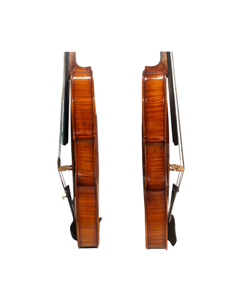 Christian August Fischer Violin - Back