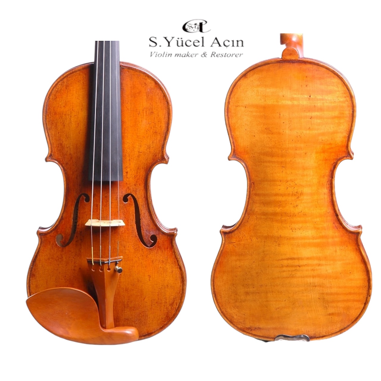 Handmade Violin - Front and Back