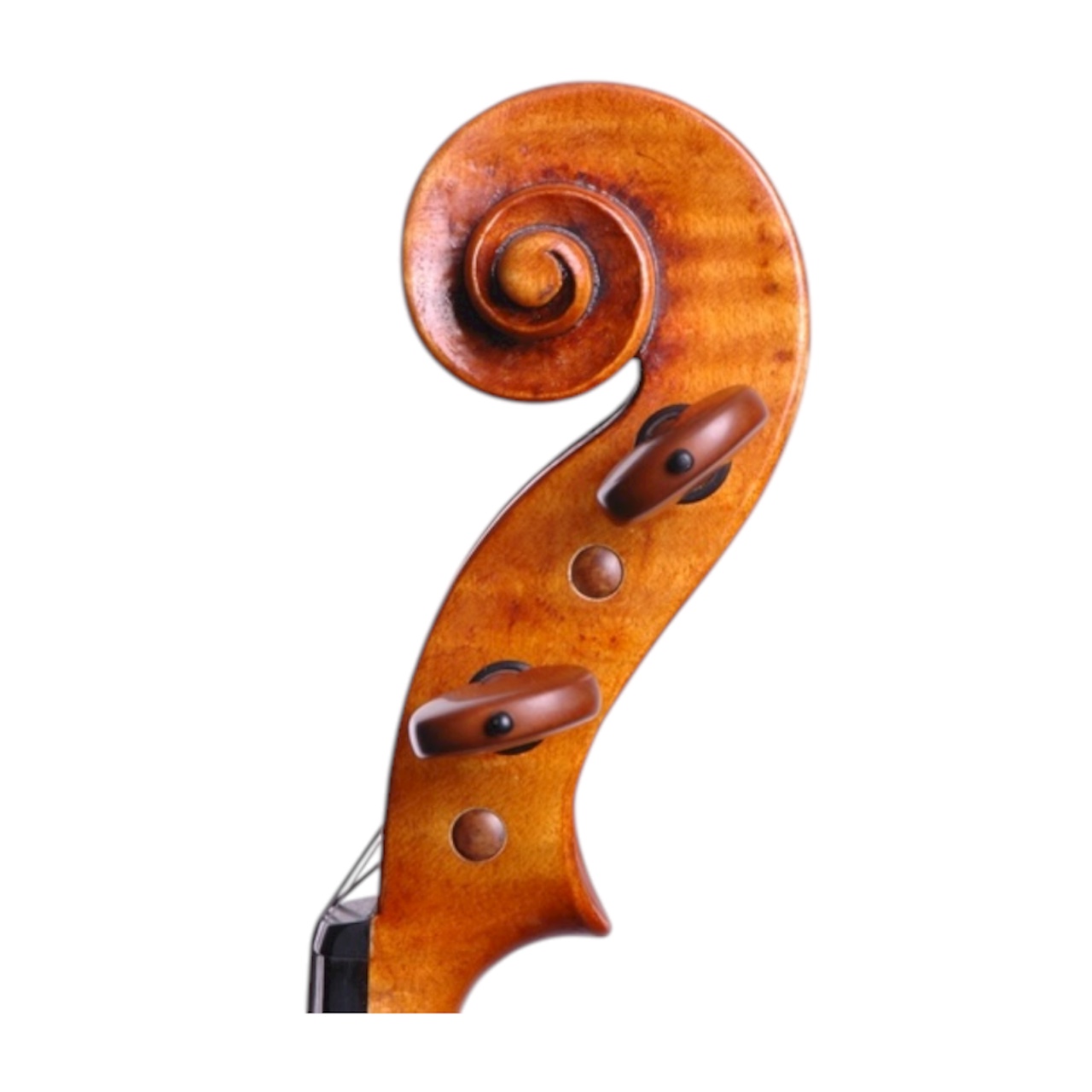 Handmade Violin - Scroll