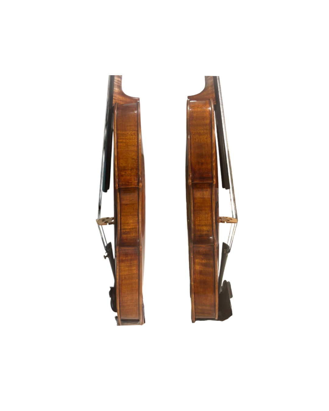 John Marshall Violin - Back